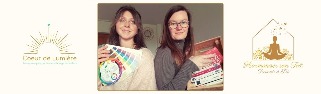 LE HOME ORGANISING, L’ART DU DESENCOMBREMENT, LA THERAPIE PAR LE TRI
